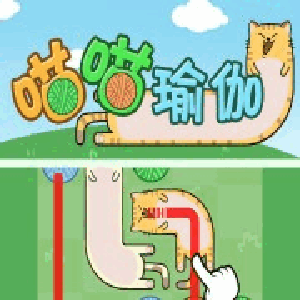 喵喵瑜伽